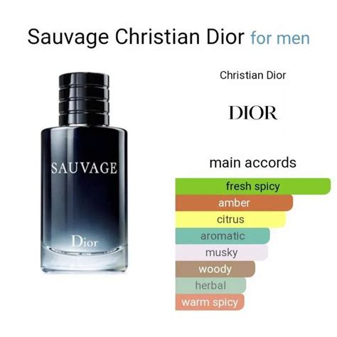 what does sauvage dior symbolize|dior sauvage recipe.